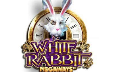 ホワイトラビット（white rabbit）