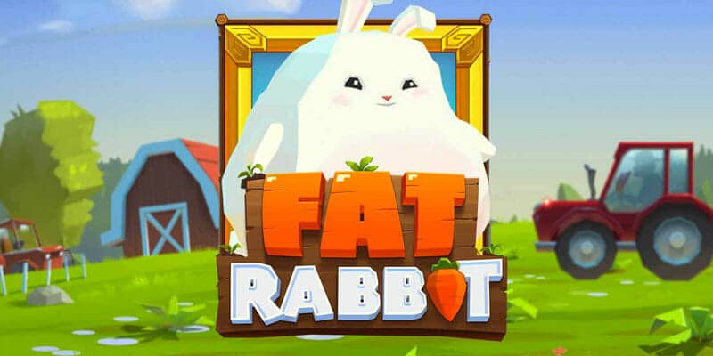 ファットラビット（Fat Rabbit）