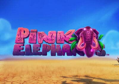 ピンクエレファント（Pink Elephants）