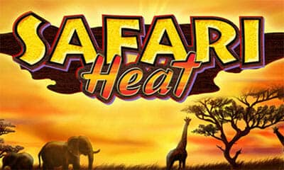 サファリヒート（Safari Heat）