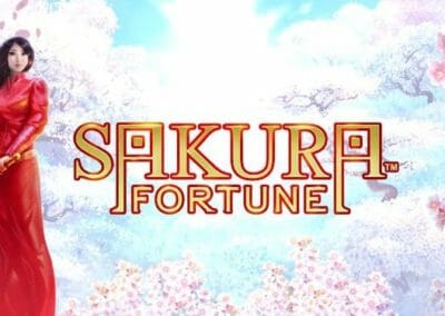 サクラフォーチュン（Sakura Fortune）