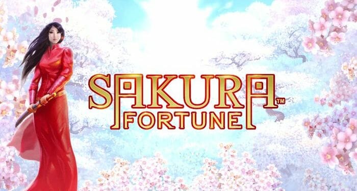 サクラフォーチュン（Sakura Fortune）