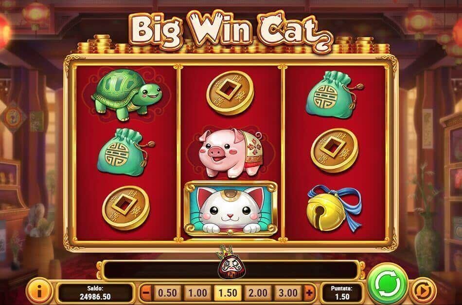 big-win-cat-table