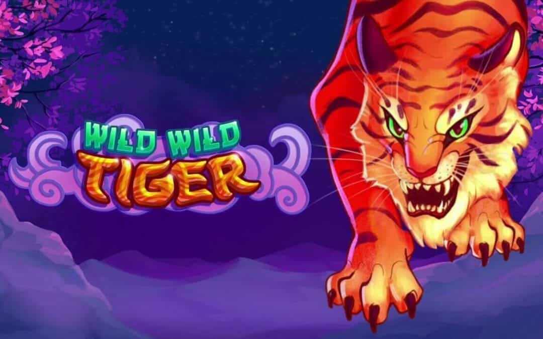 wild-wild-tiger