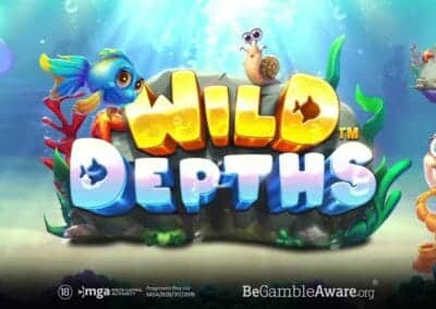 ワイルドデプス（Wild Depths）